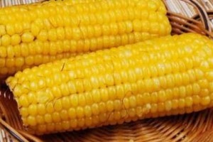 玉米的市场价格如何形成？影响玉米价格的因素有哪些？