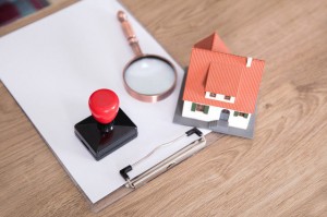 如何知晓车过户的查询方法？这种查询方法有何要点？