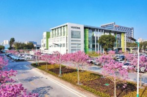 解读华帝2024年财报：以品牌价值升维筑牢竞争力，后市可期