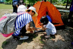 朝阳实验小学的教育质量如何？选择朝阳实验小学要考虑哪些因素？
