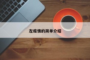 左疫情的简单介绍