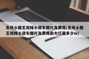 东风小霸王双排小货车图片及费用(东风小霸王双排小货车图片及费用前大灯是多少w)