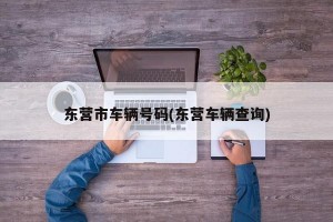 东营市车辆号码(东营车辆查询)