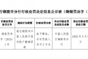 枞阳泰业村镇银行被罚2万元：超过期限向中国人民银行报送账户撤销资料