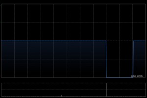 中华银科技公布何秀媚辞任执行董事及行政总裁