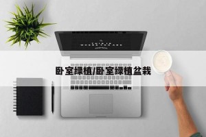 卧室绿植/卧室绿植盆栽
